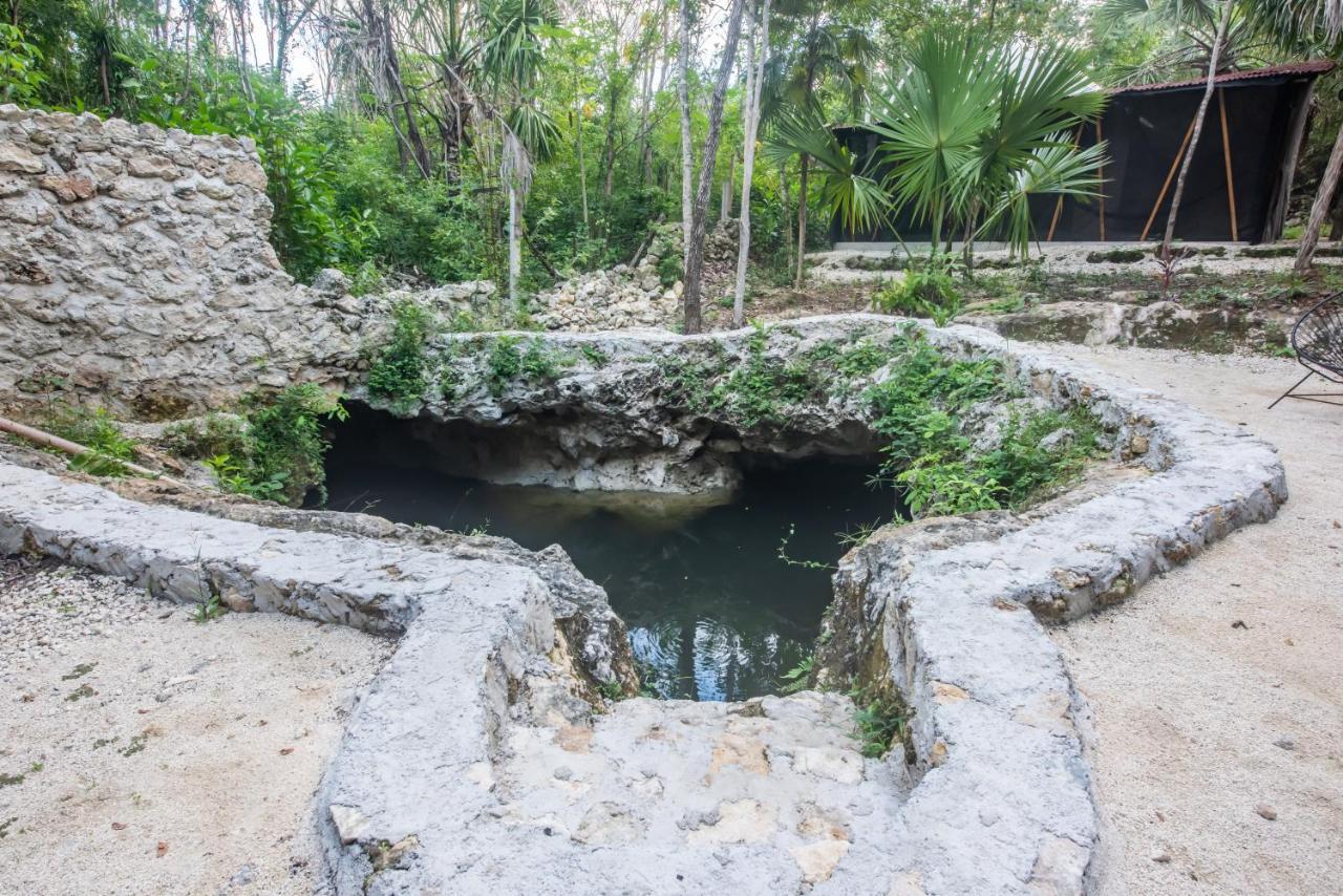 מלון פוארטו מורלוס Casa Costal - Glamping Experience מראה חיצוני תמונה